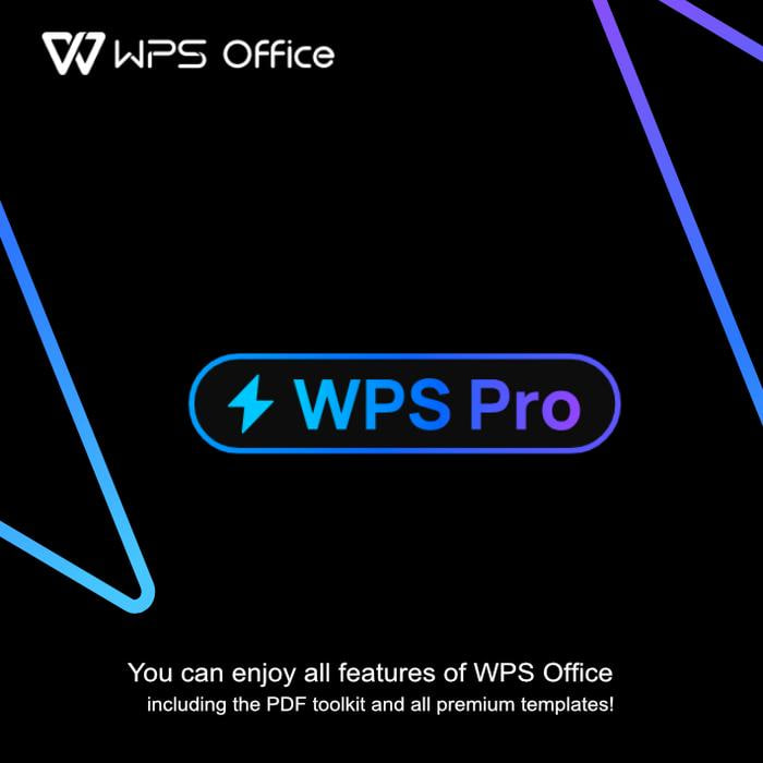WPS 表格数据可视化进阶：从Excel小白到数据分析师的蜕变之路功能介绍